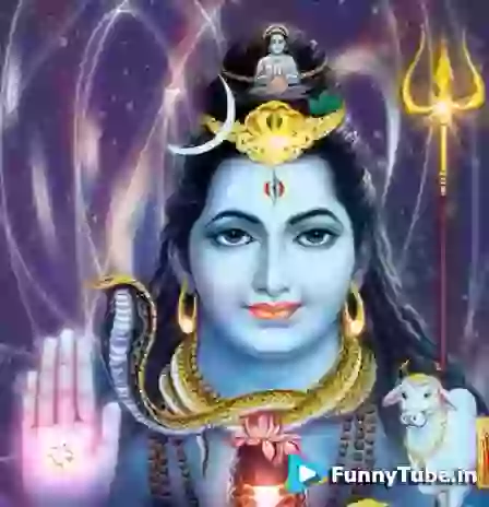 Happy Valentines Day Whatsapp Status Download