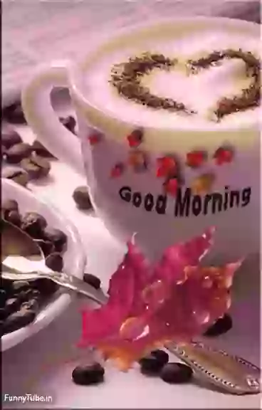 Have A Nice Day Good Morning GIF Status