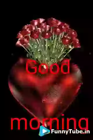 Have A Nice Week Good Morning GIF