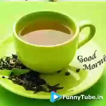 Have Happy Weekend Good Morning GIF