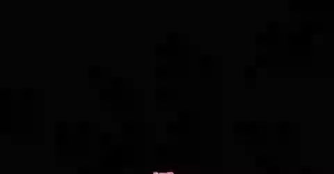 Have Nice Day Good Morning Status Video