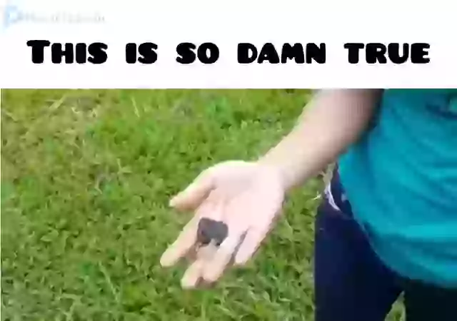 Have You Ever Faced This Funny Boys Whatsapp Video