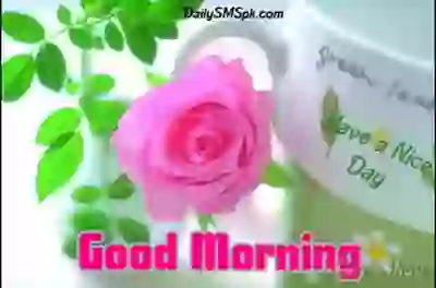 Have a nice day Good morning