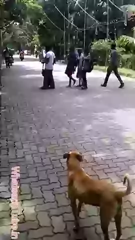 He was left this world