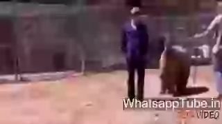 Hilarious Animal Attacks On Humans