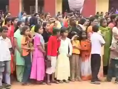 Hilarious Elephant gone wild