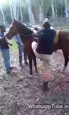 Hilarious Horse Riding Fail Video