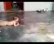 Hilarious Kids Sliding Indian Mad Peoples