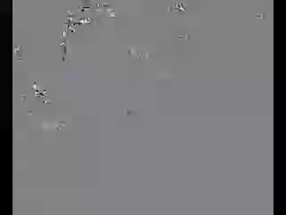 Hilarious Street Fight