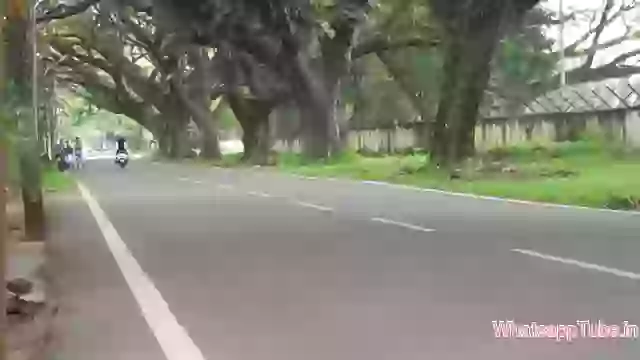 Hilarious Why You Do This