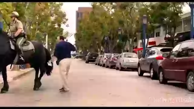 Hillerious Horse Kick Man Down