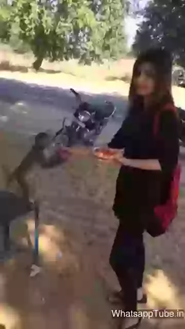 Hot Indian Girl Fun With Monkey