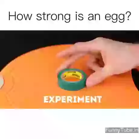 How String Is An Egg