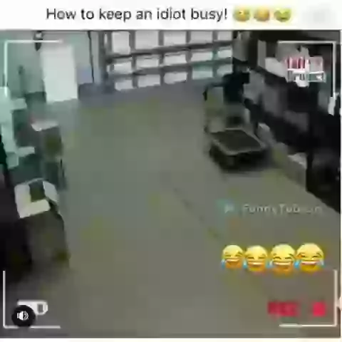 How To Keep An Idiot Busy Funniest Whatsapp Video 2018