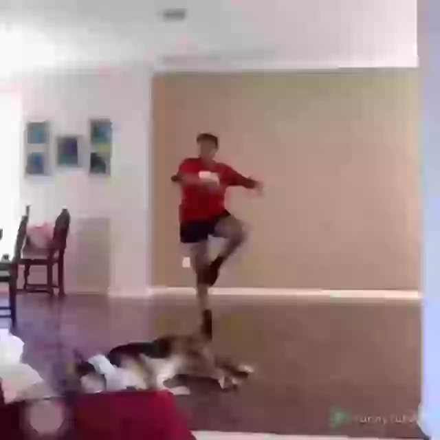 Desi Dance Goes Fail Funny Fail Status Video