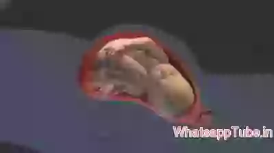 How sizzer dilivery is done