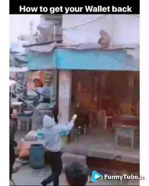 How to get your wallet back from any kind of monkey