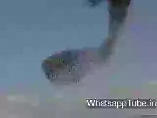 Hugh Bird Flying In Group