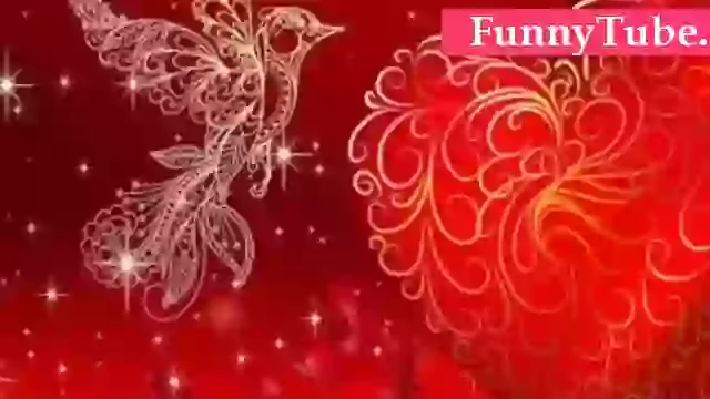 Happy Valentines Day Whatsapp Status GIF Download