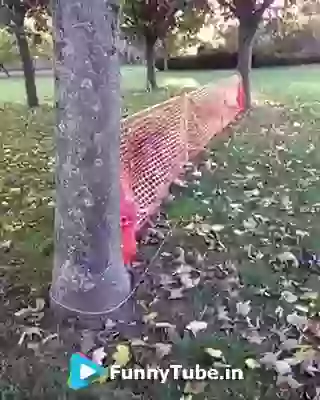 I am at the job rocking all the time funny video