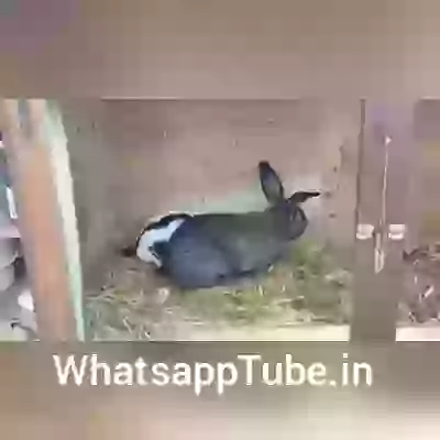 I have no words for this