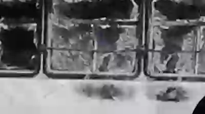 In the name of protest you ruined everything