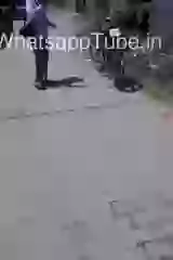 Interesting Footwear for climbing