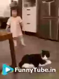 Kaypo Che Funny Cat And Kid GIF