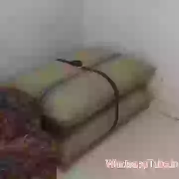 Khoda Pahad Nikla Bandar