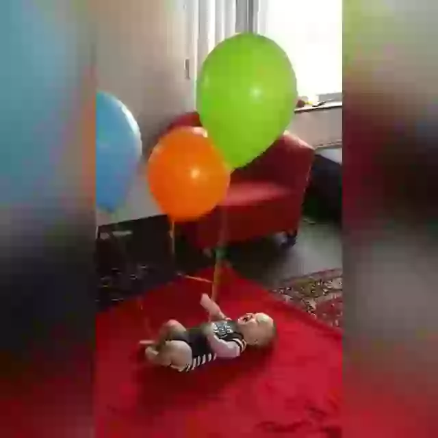 Copy Not Allowed Exam Special Funny Whatsapp Video