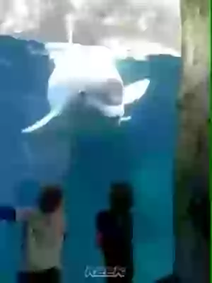 Kids having fun with fish