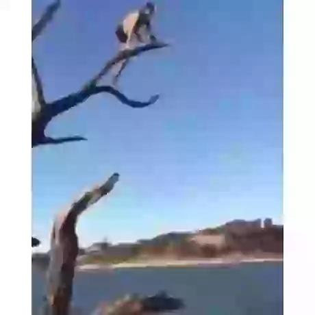 Lets Start 2017 Funny GIF