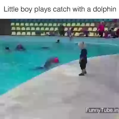 Little Boy Plays With a Dolphin