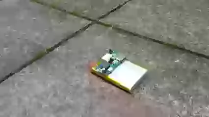 Look At what we carrying