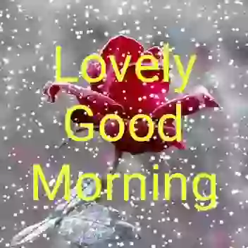 Lovely Good Morning GIF