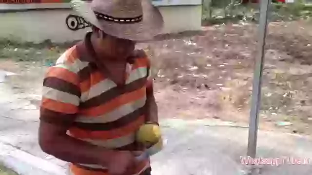 Mango Flawor Ready to Eat