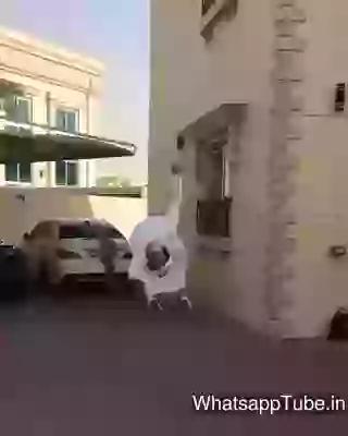 Meet the monkey sekh