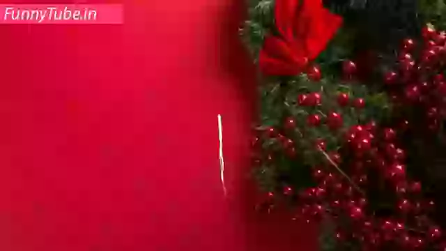 Merry Christmas Whatsapp Wishes Video Download