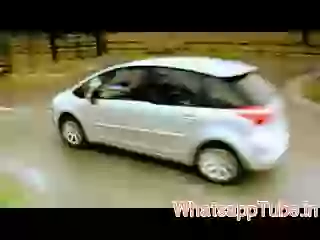 Monkey Climbing on car