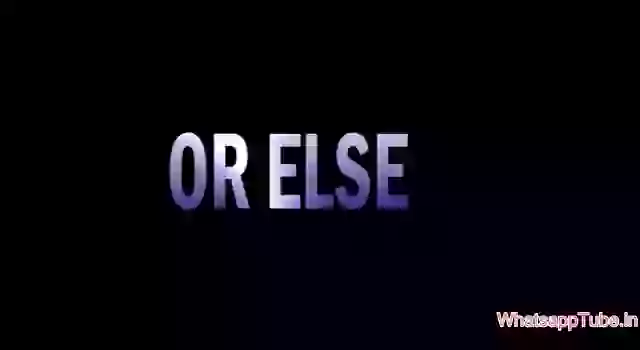 Most Hilarious Accidents in india