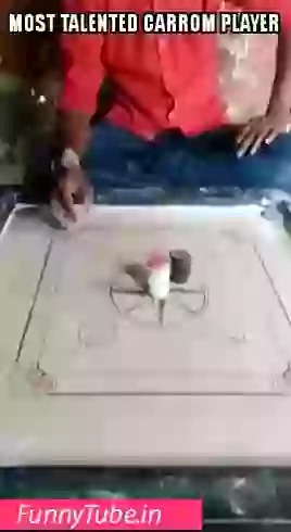 Most Talented Carom Player Asian Level