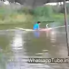 Much Power On Little Engine