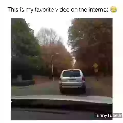 My Fav Video On Internet