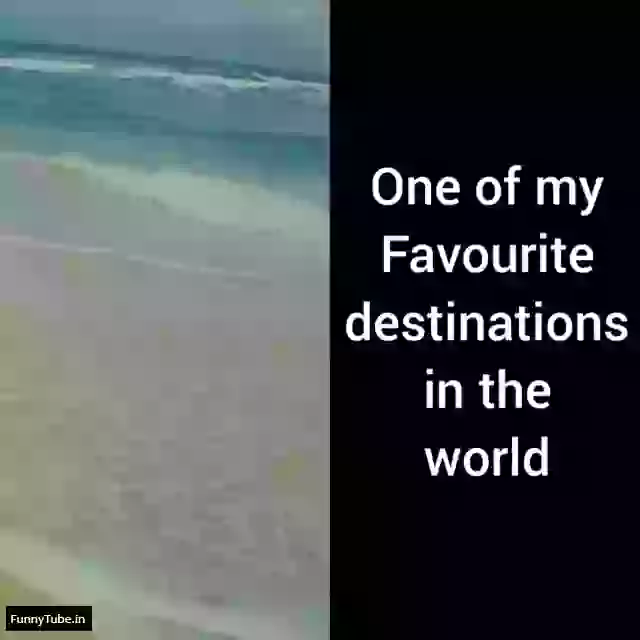 My Favourite Destination In The World Funny Video