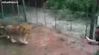 Nature loving people