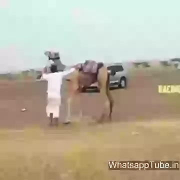 Never Back Down In Dubai