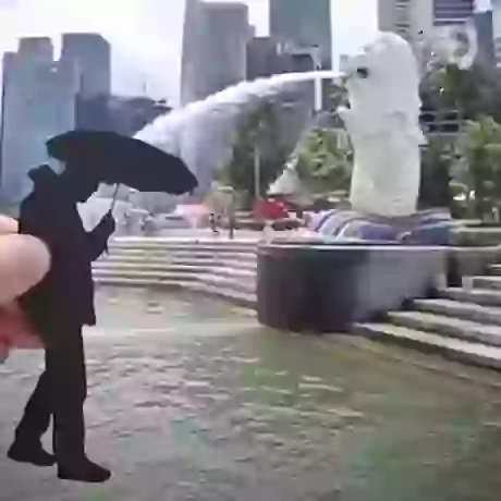 New Creative Snaps Around The World