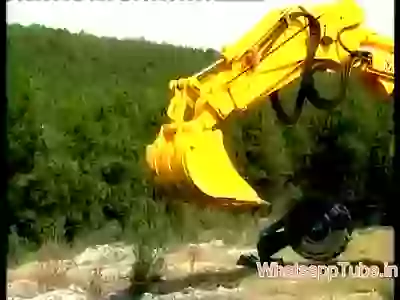 New Minner In The Market