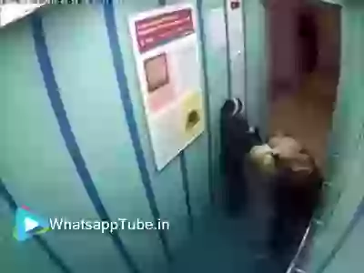 OMG Dog Hanged In Lift