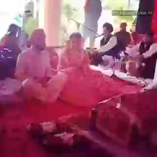 Paaji Cant Hold Till The Night